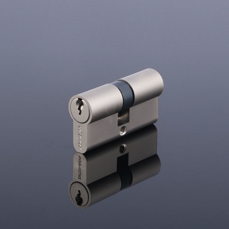 Euro Profile Cylinder with Standard Key
